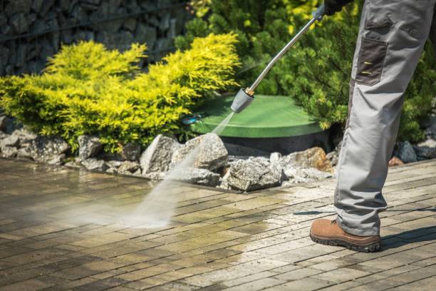 Best Driveway Pressure Washing  in Walden, NY