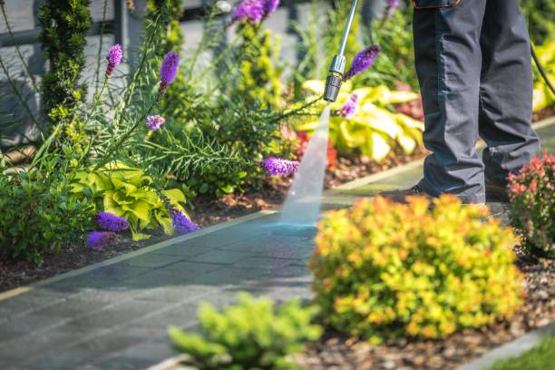 Best Animal Enclosure Cleaning  in Walden, NY